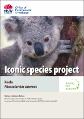 iconic-species-project-koala-phascolarctos-cinereus-130536.pdf.jpg