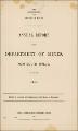 Annual Report of the Department of Mines New South Wales for the Year 1884.pdf.jpg