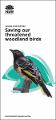saving-our-threatened-woodland-birds-190292.pdf.jpg