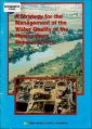 A Strategy for the Management of the Water Quality of the Hawkesbury-Nepean River June 1985.pdf.jpg