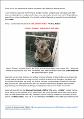 koala-strategy-submission-534-c-bettington.pdf.jpg