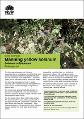 saving-our-species-factsheet-manning-yellow-solanum-200034.pdf.jpg