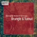 Aboriginal Women's Heritage Brungle and Tumut.pdf.jpg